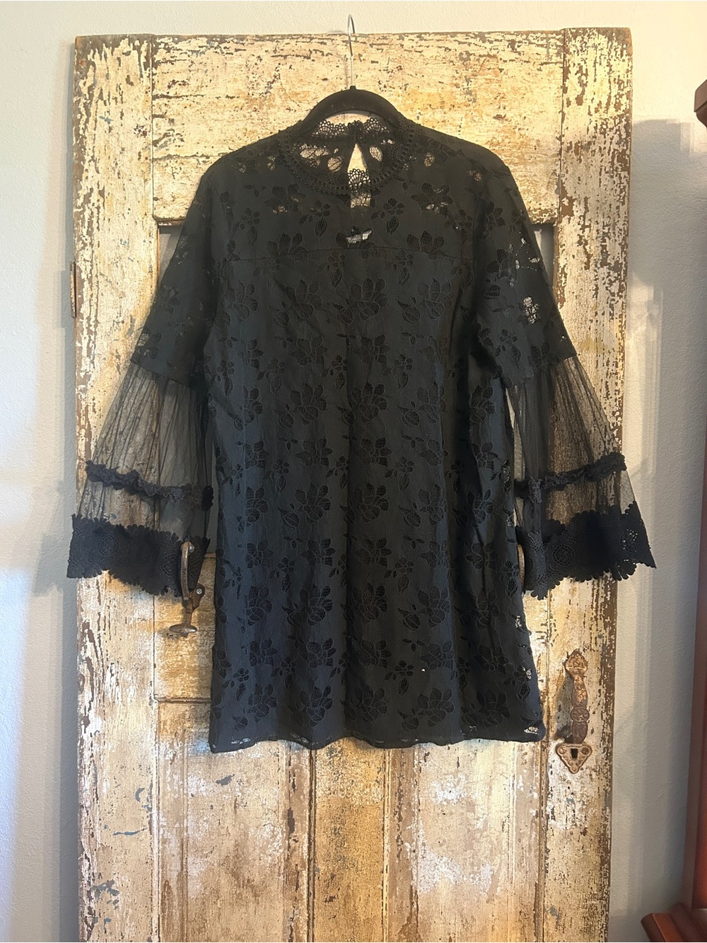 Whimsigoth Black Lace Floral Sheer-Sleeve Women's Minidress